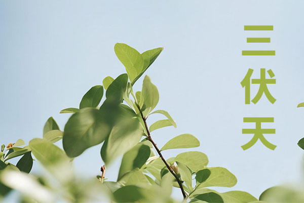 尊龙凯时-人生就是搏!